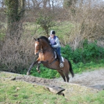 Sadie XC