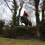 Alfie Hunting