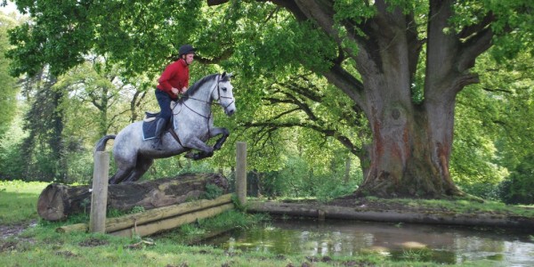 Nicky XC
