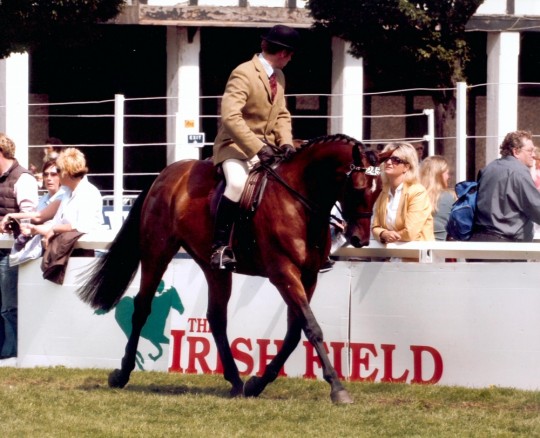 George - RDS 2008
