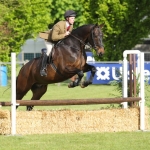 Alfie - Balmoral 2010