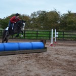 Dougal doing arena XC Dougal doing arena XC