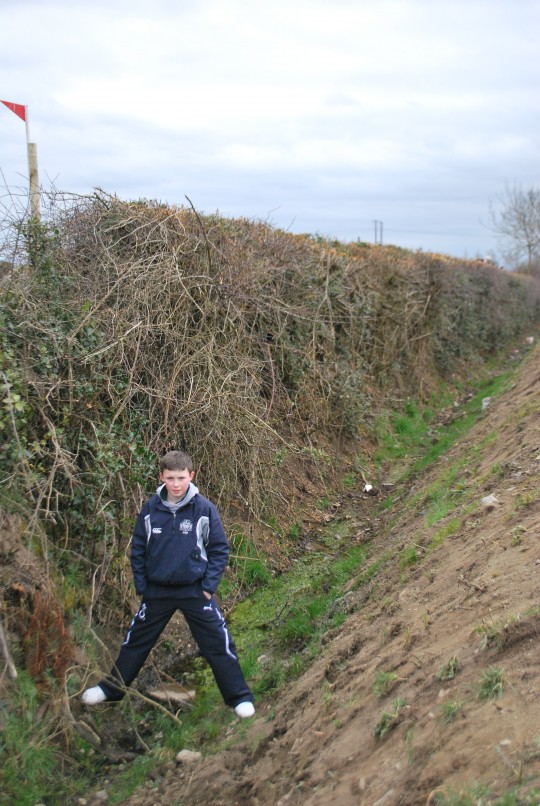 Fence 6