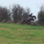 Nelson jumping wire Nelson jumping wire
