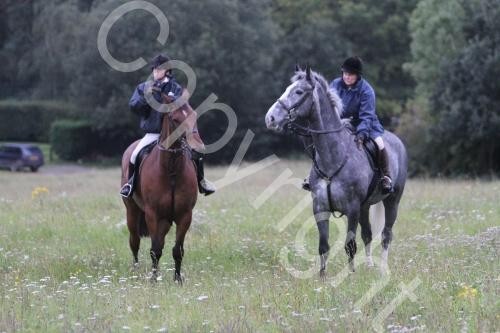 Duke's first Day Cubbing in Hampshire Hunt,England