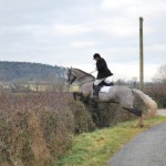 Duke Hunting with South Tyrone Duke Hunting with South Tyrone
