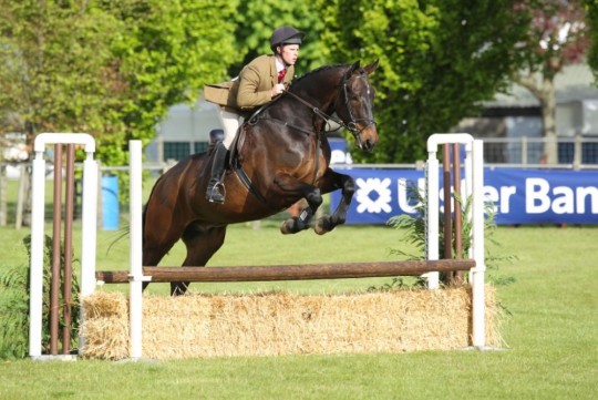 Alfie - Balmoral 2010