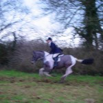Storm & Nicola at Hunt Storm & Nicola at Hunt