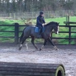 Nelson schooling at home Nelson schooling at home