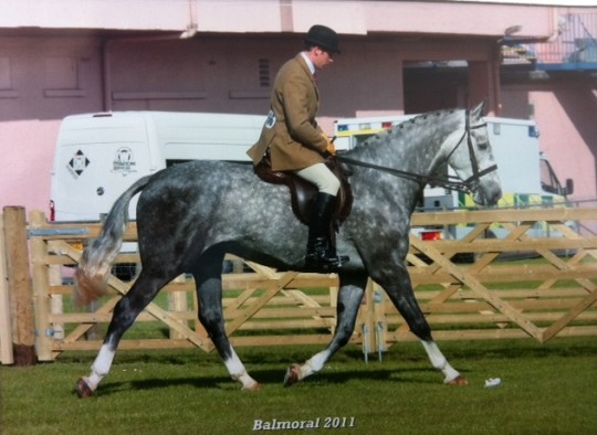Joe - MW Hunter @ Balmoral