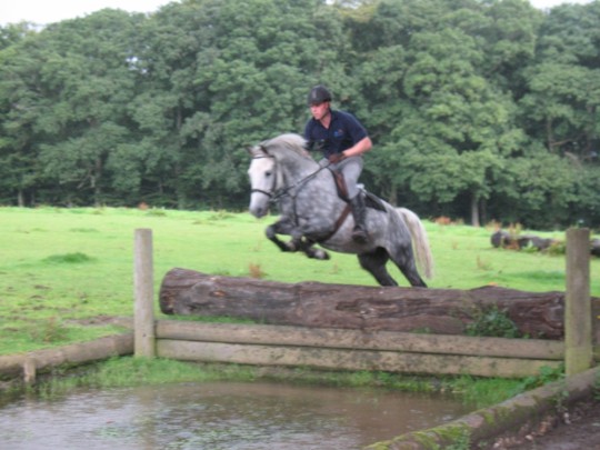 Bosco jumping into the Water