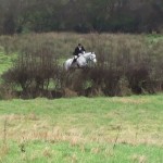 Roger jumping a hedge Roger jumping a hedge