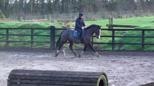 Nelson schooling at home