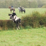 Fred XC Ride