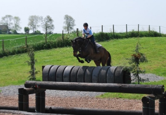 Alfie XC