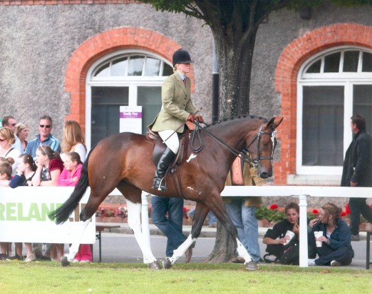 Freeway (Heidi) at RDS 2011