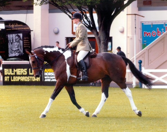 Heidi and Nicola in Small Riding Horse class
