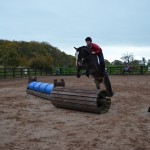 Dougal doing arena XC Dougal doing arena XC