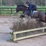 Nelson jumping at home Nelson jumping at home