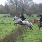 Binky Hunting