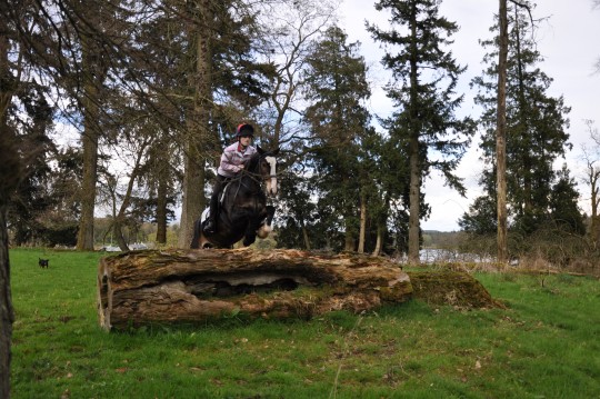 Dougal XC