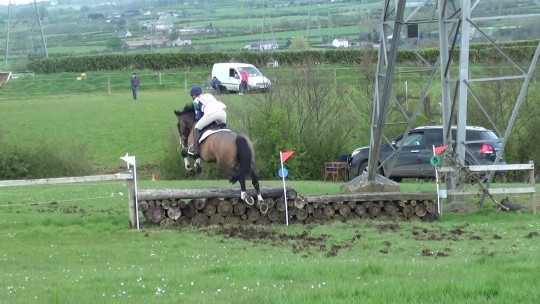 Nelson XC