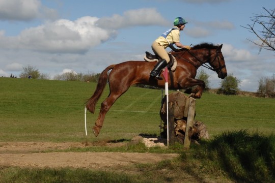 Topper at Meath Hunter Trials - Open Class