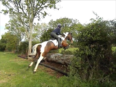 Patch XC