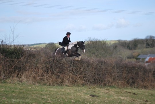 Fred Hunting