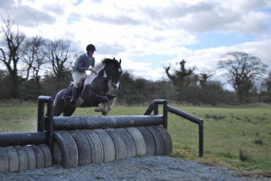 Fred XC