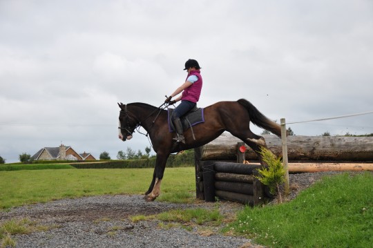 Molly XC