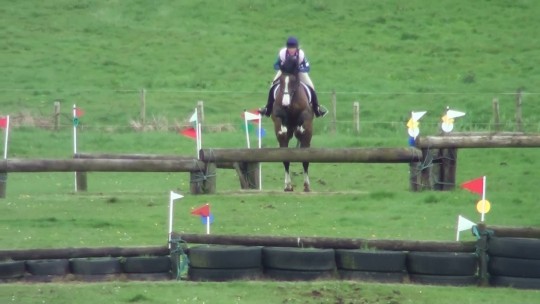 Nelson XC