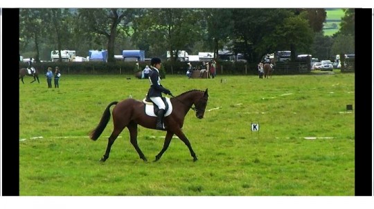 Going into the lead after dressage
