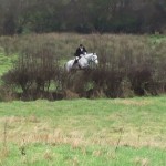 Roger jumping a hedge