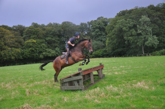 Roddy XC