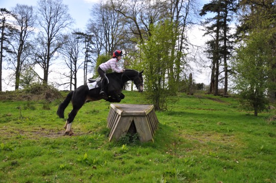 Dougal XC