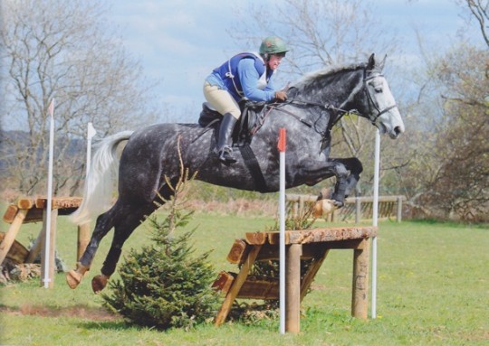 Duke Competing at Hunter Trials