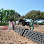Dougal - Arena Eventing