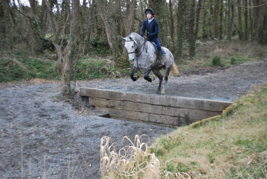 Binky XC