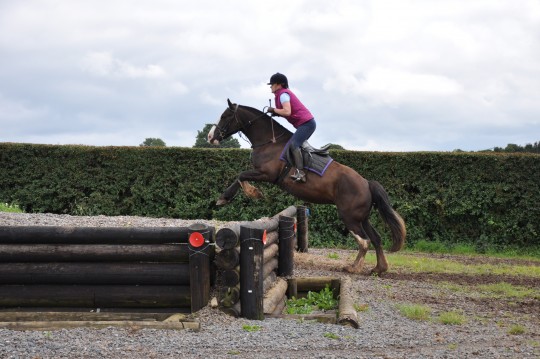 Molly XC
