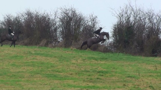 Nelson jumping wire