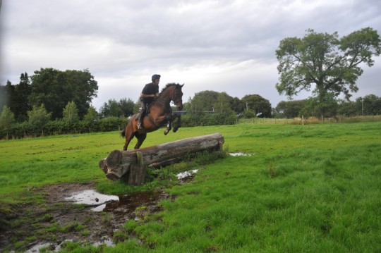 Roddy XC