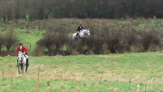 Roger jumping a hedge