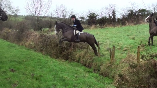 Nelson jumping a drain