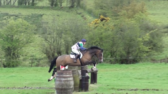 Nelson XC