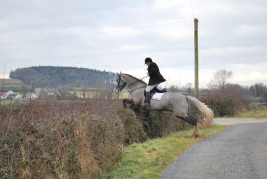 Duke Hunting with South Tyrone