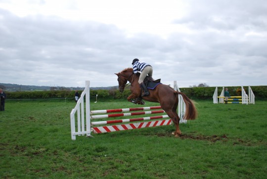Topper SJ